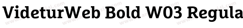 VideturWeb Bold W03 Regular字体转换 VideturWeb Bold W03 Regular字体转换